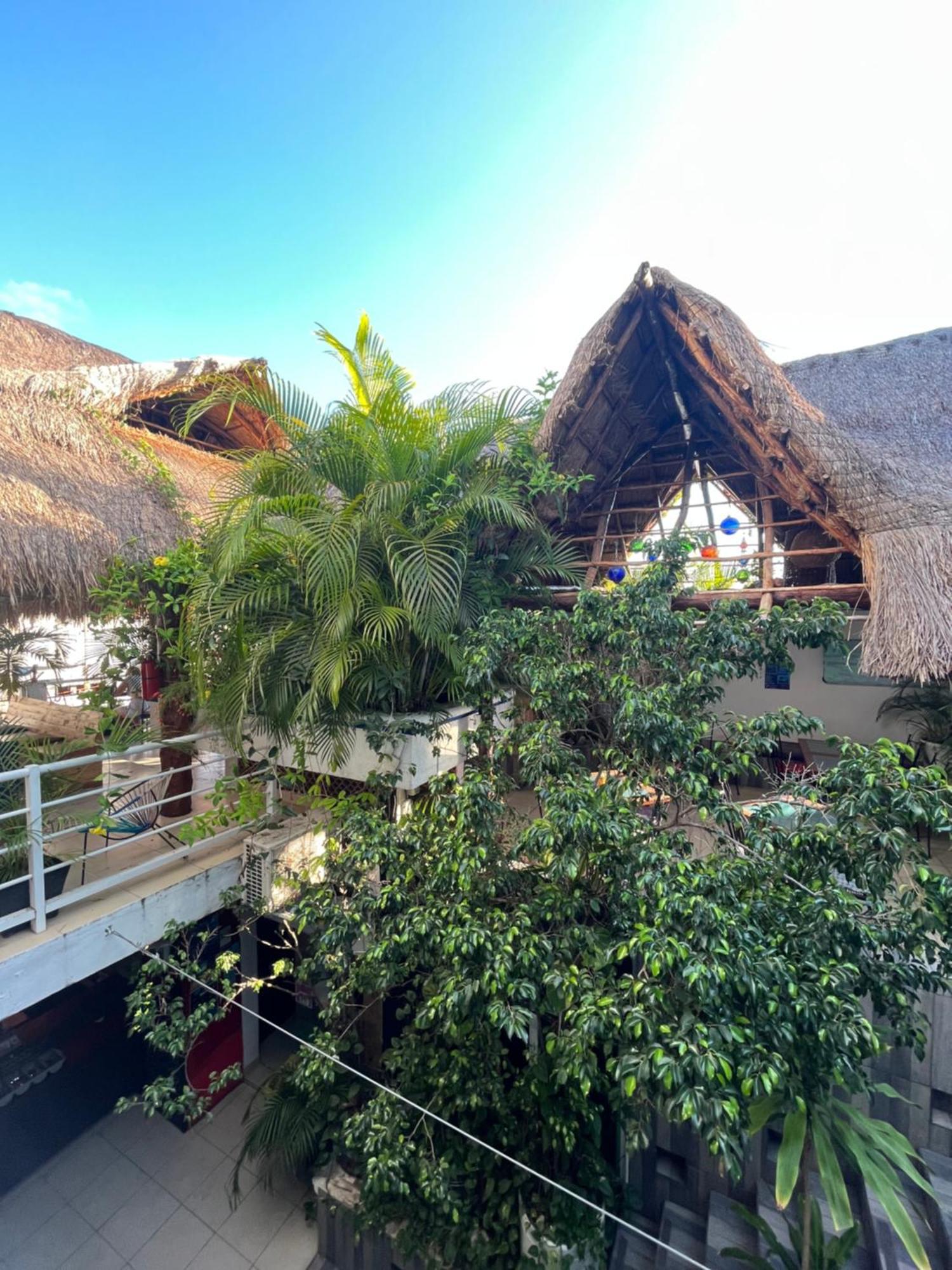 Hostelito Hotel 코수멜 외부 사진