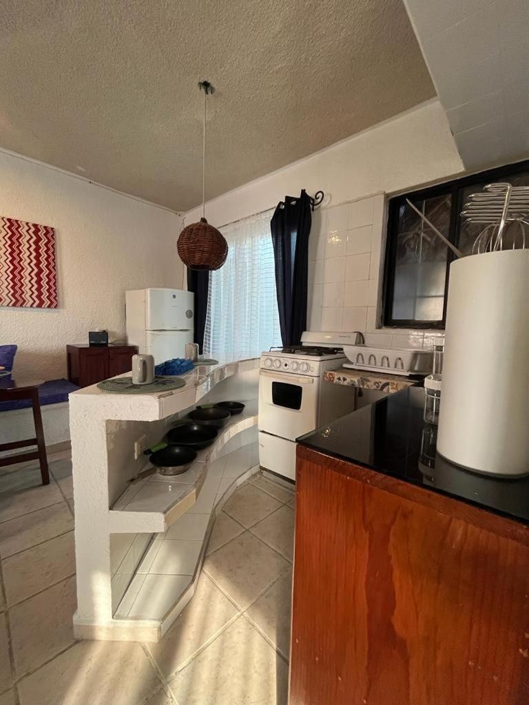 Hostelito Hotel 코수멜 객실 사진
