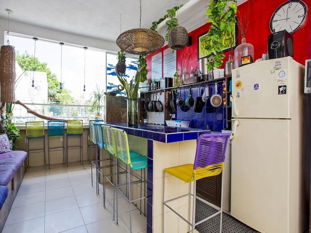 Hostelito Hotel 코수멜 외부 사진